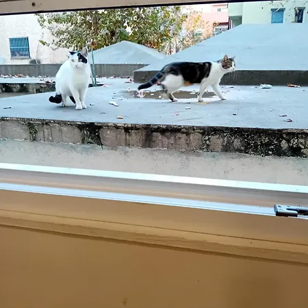 Serendipity Appartement Tirana